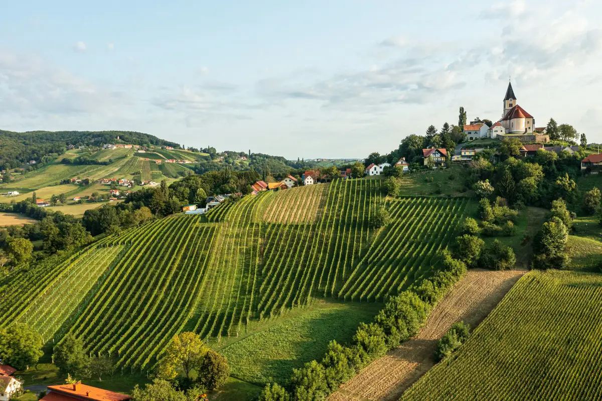 Weinberge und Kirche in der Südsteiermark bei Abendlicht